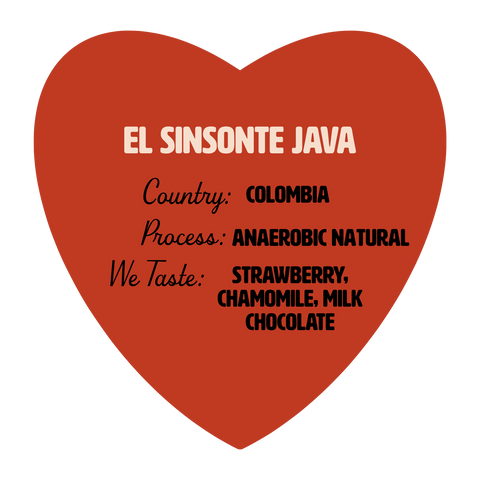 Colombia El Sinsonte Java