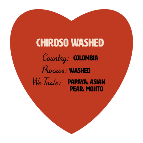 Chiroso Washed