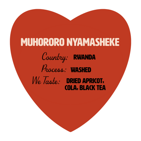 Rwanda Muhororo Nyamasheke Washed
